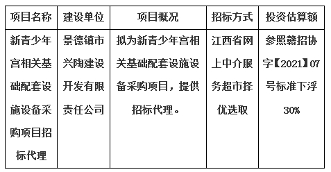 新青少年宮相關(guān)基礎(chǔ)配套設(shè)施設(shè)備采購項(xiàng)目招標(biāo)代理計劃公告